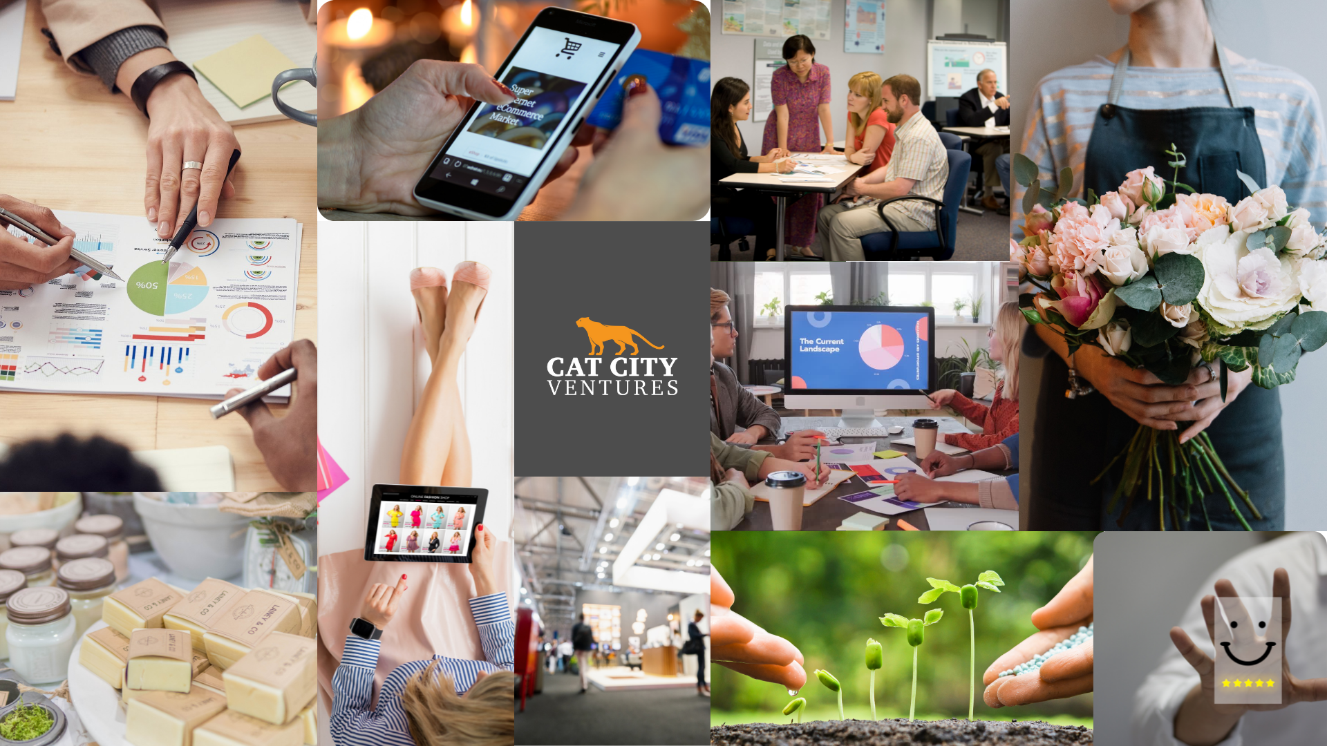 Cat City Ventures Brand View Collage